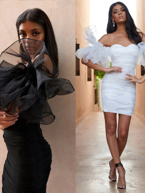Puff Sleeve Dress With Hip Skirt