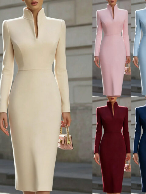 Elegant Stand Collar Long Sleeve Dress